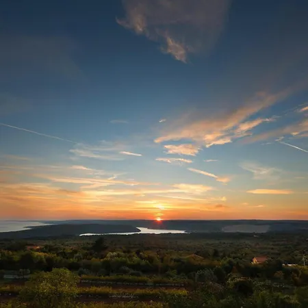 Dream View